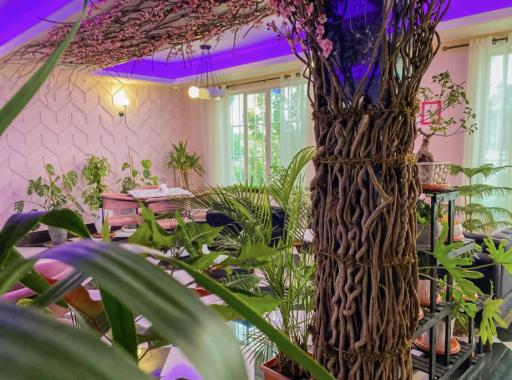 عکس کافه رستوران پاپلین