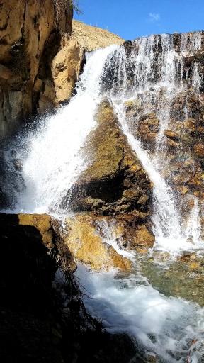 عکس آبشار کلها