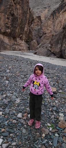 عکس آبشار کلها