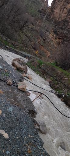 عکس آبشار کلها