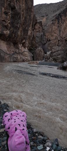 عکس آبشار کلها