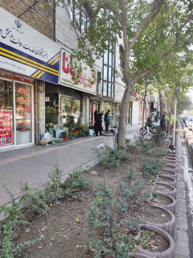 عکس  شهید فلاحی 13