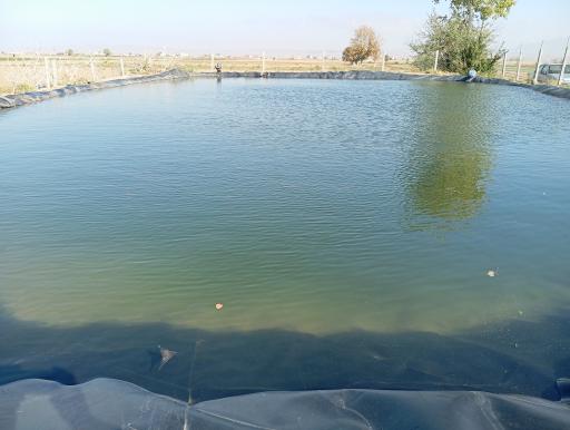 عکس بهرامیه