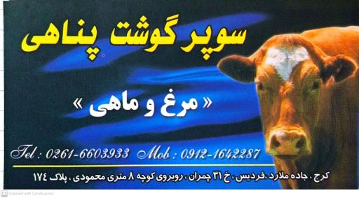 عکس سوپر گوشت حاج معرفت پناهی 