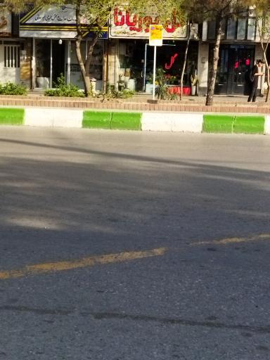 عکس  شهید فلاحی 13