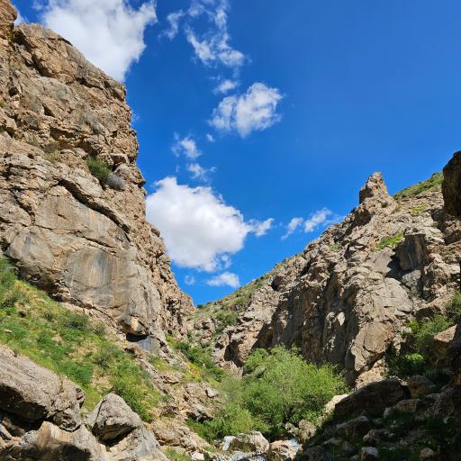 عکس آبشار کلها