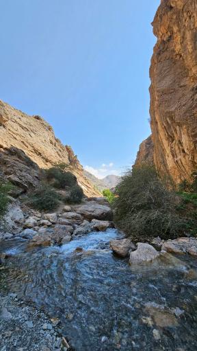 عکس آبشار کلها