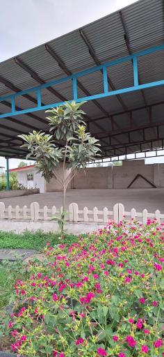 گلزار شهدای کته پشت سفلی