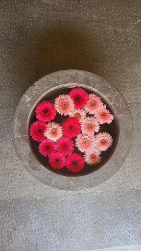 عکس کافه میدون