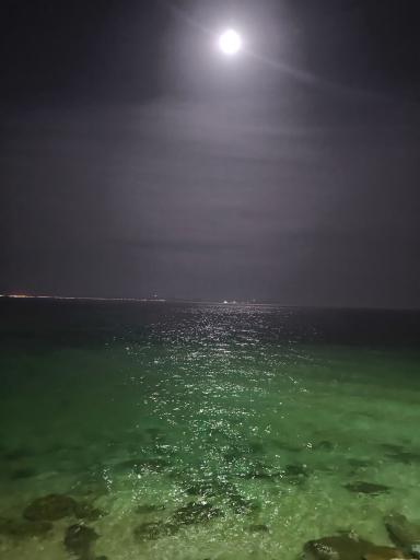 عکس سینما دریا