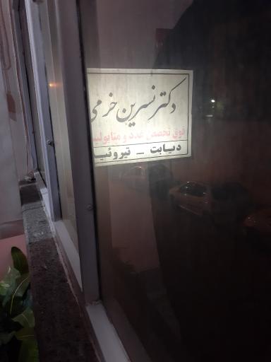 عکس دکتر نسرین خرمی فوق تخصص غدد