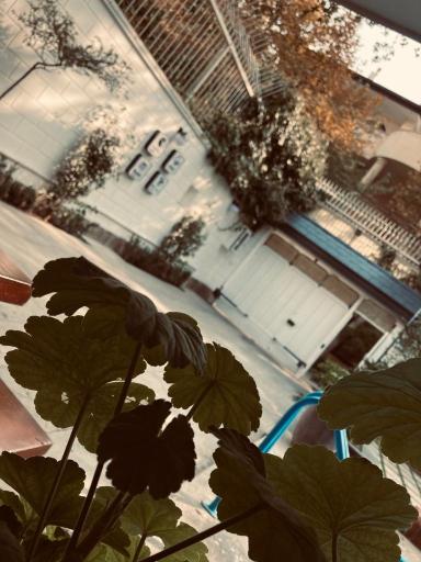 عکس کافه عمارت فردوس