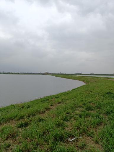 عکس آب بندان بیزکی