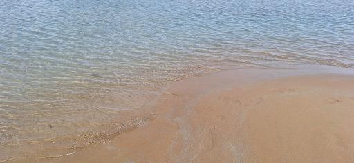 عکس ساحل بندرگاه بوشهر