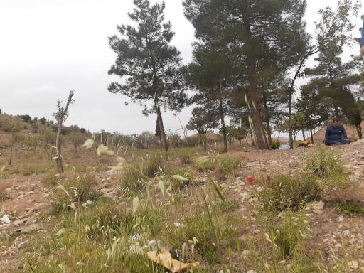 عکس پیاده روی قندیلی