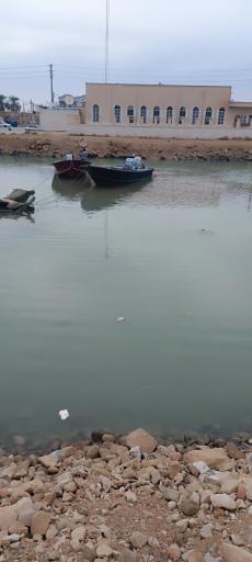 عکس ساحل بندرگاه بوشهر