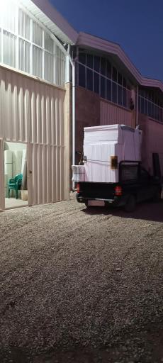 عکس طاهر کالا