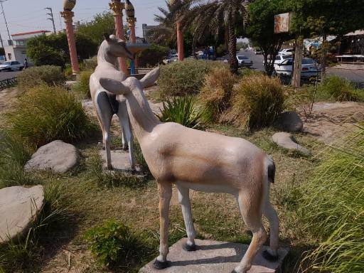 عکس میدان چهارکوزه