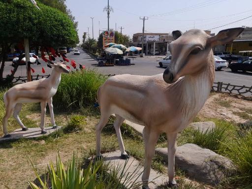 عکس میدان چهارکوزه