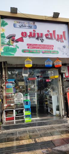 عکس پت شاپ ایران پرنده