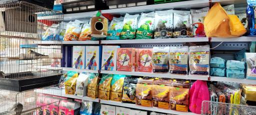 عکس پت شاپ ایران پرنده