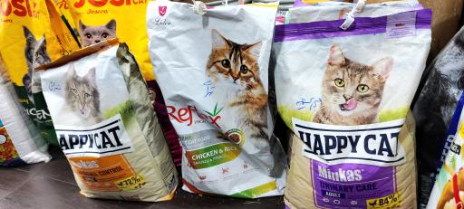 عکس پت شاپ ایران پرنده