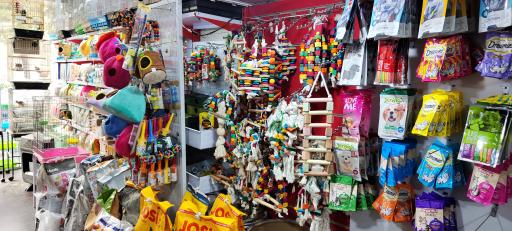 عکس پت شاپ ایران پرنده