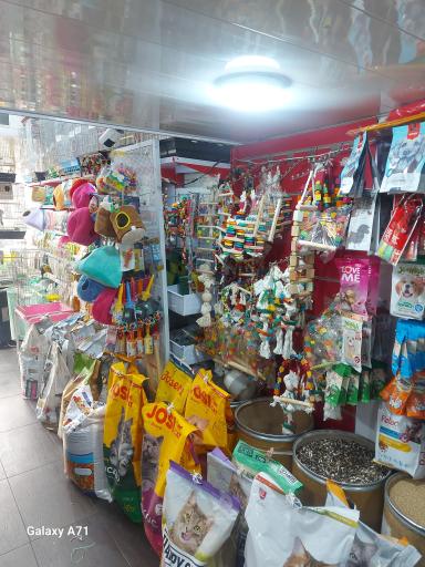 پت شاپ ایران پرنده