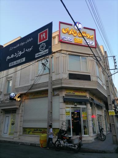 عکس پروتئین بهاران (جوادالائمه)
