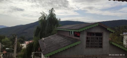 عکس حیران