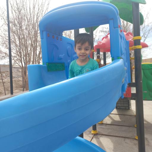 عکس فضای سبز و پارک فریزی