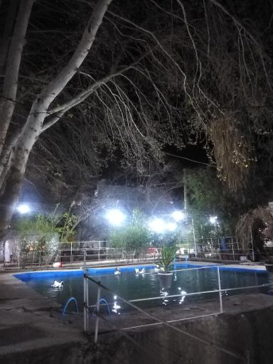 عکس باغ رستوران بام استهبان 