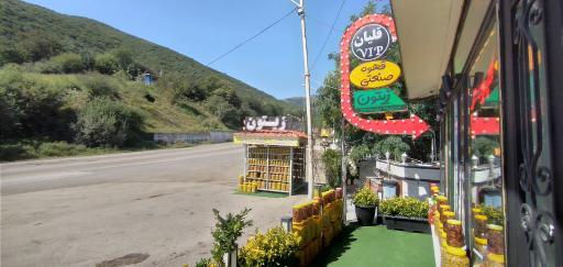عکس حیران