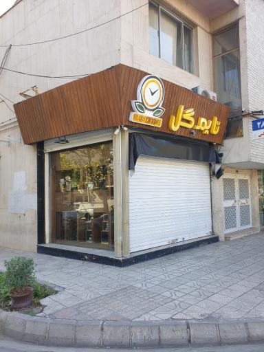 عکس تایم گل