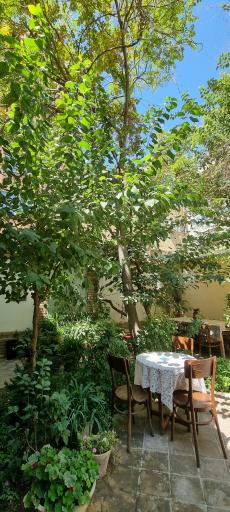 عکس کافه تهرون کندوان