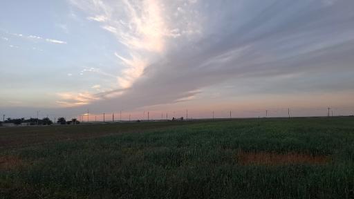 سنیجه