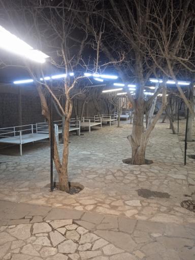 عکس باغسرای توس