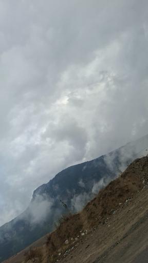 عکس حیران