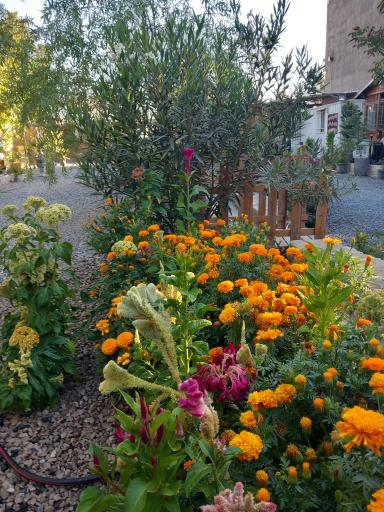 عکس کافه رستوران آریایی