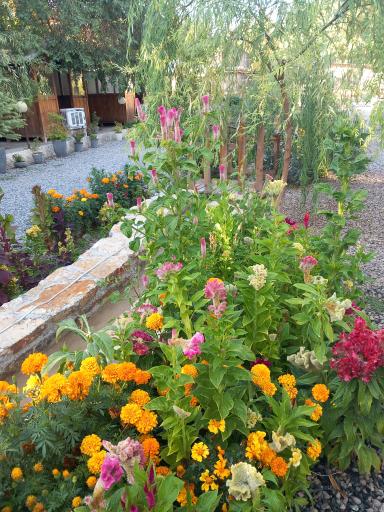 عکس کافه رستوران آریایی