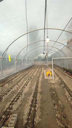 عکس گلخانه نتاج 