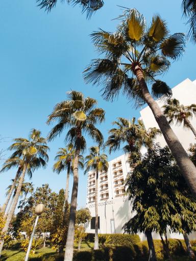 عکس هتل هما بندر عباس