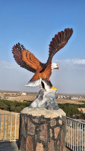 عکس بام کاشمر