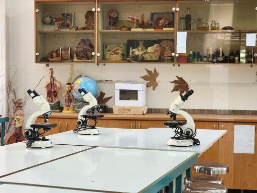 مدرسه نمونه دولتی الزهرا