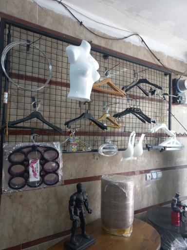 عکس رگال آرتا