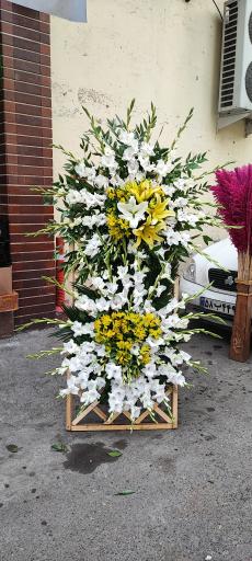 عکس گلفروشی گل گندم 