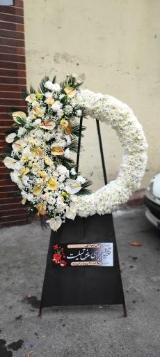 عکس گلفروشی گل گندم 