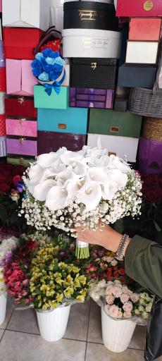 عکس گلفروشی گل گندم 