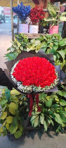 عکس گلفروشی گل گندم 