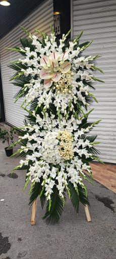 عکس گلفروشی گل گندم 